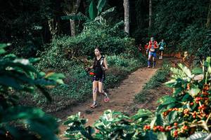 BIB: 
                            <button type="button" onclick="openModal(25826668)" class="btn btn-primary btn-sm float-right btn-popup" data-toggle="modal" data-target=".modal-high-quality">
                        <i class="fas fa-shopping-cart"></i> Add to Cart
                    </button>
                                            <button type="button" onclick="isThisMe(25826668, true)" class="btn btn-success btn-sm float-right btn-popup btn-isme hidden" data-toggle="tooltip" data-placement="bottom" title="นี่คือรูปของคุณใช่ไหม คลิกที่นี่เพื่อเอาเข้าอัลบั้ม">
                        <i class="fas fa-plus"></i> Add to album
                    </button>
                    <button type="button" onclick="isThisMe(25826668, false)" class="btn btn-warning btn-sm float-right btn-popup btn-isnotme hidden">
                        <i class="fas fa-ban"></i> Remove from album
                    </button>